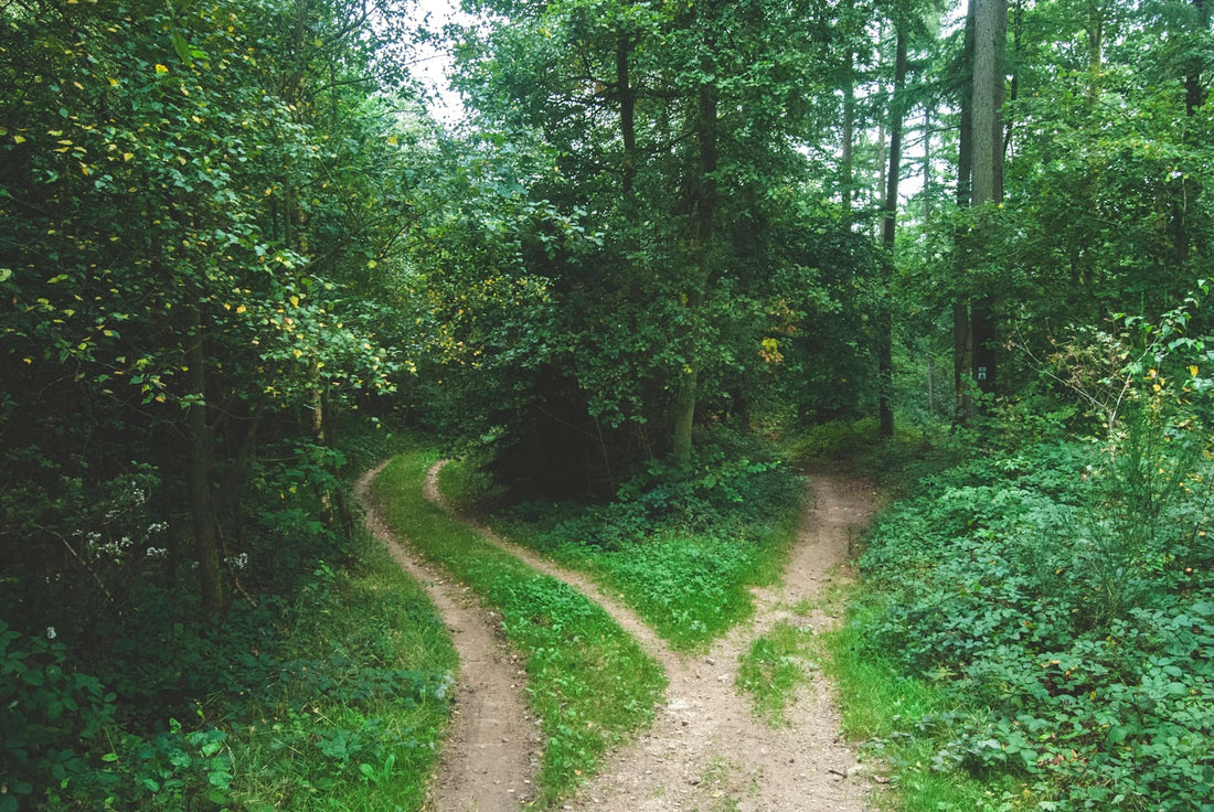 TOEFL vs IELTS: Which English Test Should You Take?