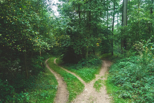 TOEFL vs IELTS: Which English Test Should You Take?