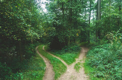 TOEFL vs IELTS: Which English Test Should You Take?