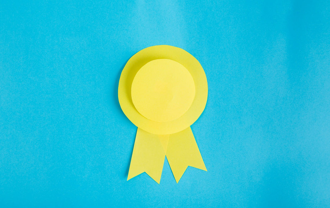 Certification Anglais : Quelle Qualification Choisir ?